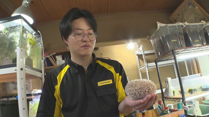 ハリネズミも!