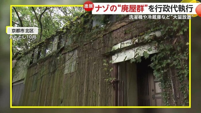トタンの壁がつたに覆われた不気味な建物
