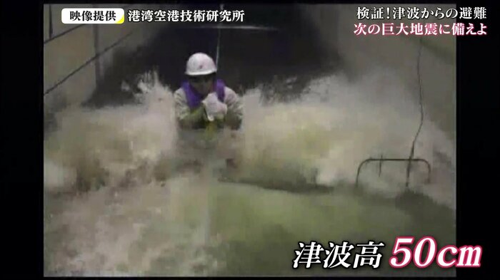 港湾空港技術研究所 “津波”再現映像