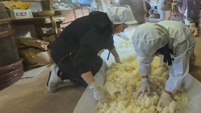 蒸した米を冷ます作業