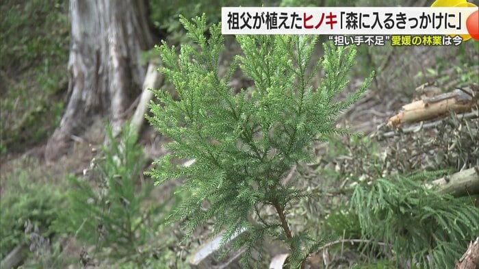 若き技能実習生たちの挑戦と新たな取り組み
