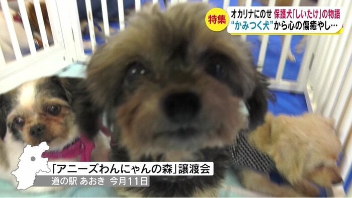 長野県青木村・9月11日