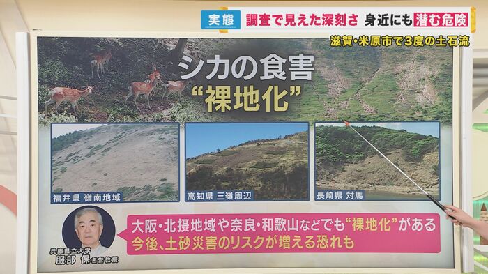 山の「裸地化」は日本各地にある