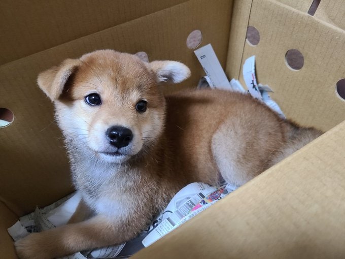 お家到着の瞬間