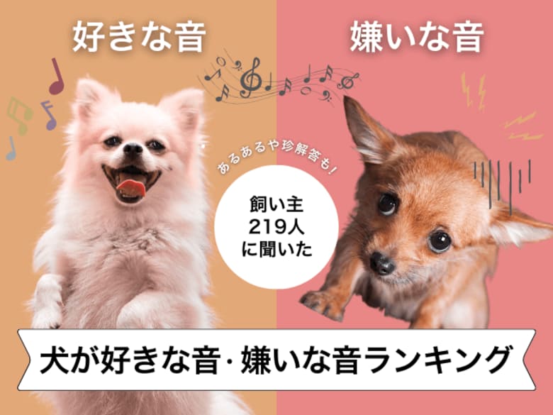 【飼い主219人に調査】犬が好きな音・苦手な音とは？あるある回答満載！