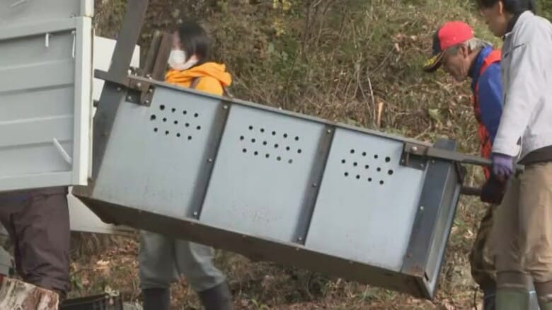 男性を襲ったツキノワグマか…親子とみられる3頭を捕獲いずれも殺処分　襲撃現場で警戒続く（島根）｜FNNプライムオンライン