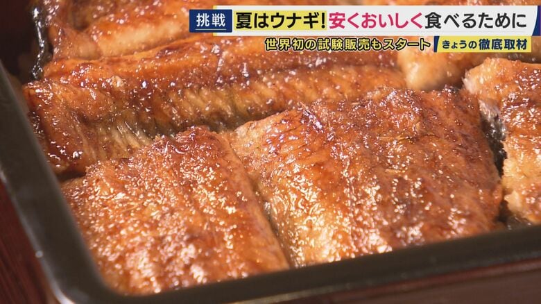 ”完全養殖”ウナギの未来を変えるか　資源量減少を劇的改善“卵から成魚まで”育てる技術　「何を食べるかわからなかった」エサ開発の苦労　「ほとんどオスになる養殖ウナギは琵琶湖で育てるとメスに」最新研究も｜FNNプライムオンライン