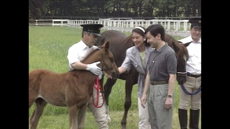 1997年6月 母馬・アハージージュ号と子馬・豊歓(とよよし)とご対面