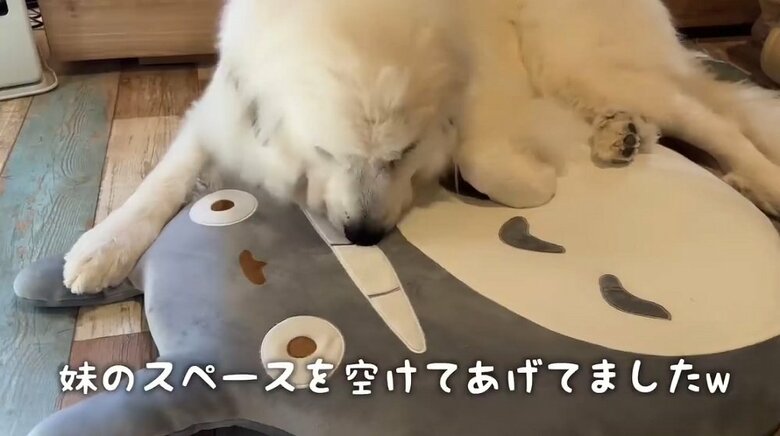 娘さんの場所は空けておく