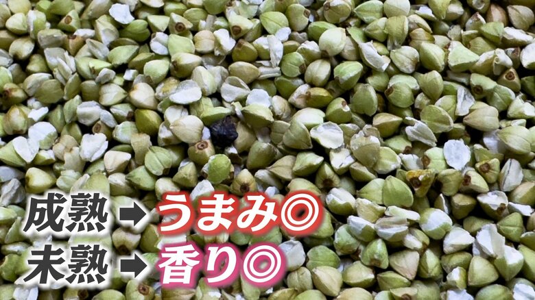 個体差が奥深い味わいに