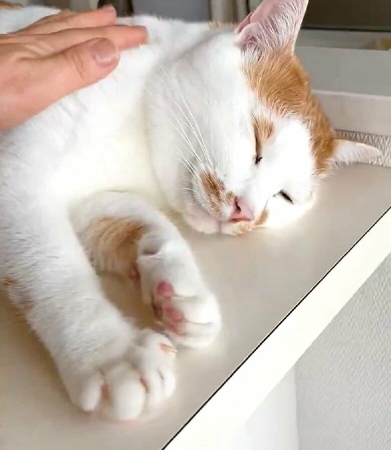 体をなでると…