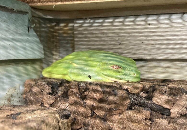 普段はこんな感じ