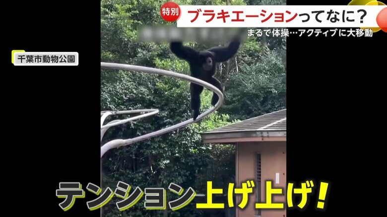 特別な移動方法（映像提供：照井弘大さん）