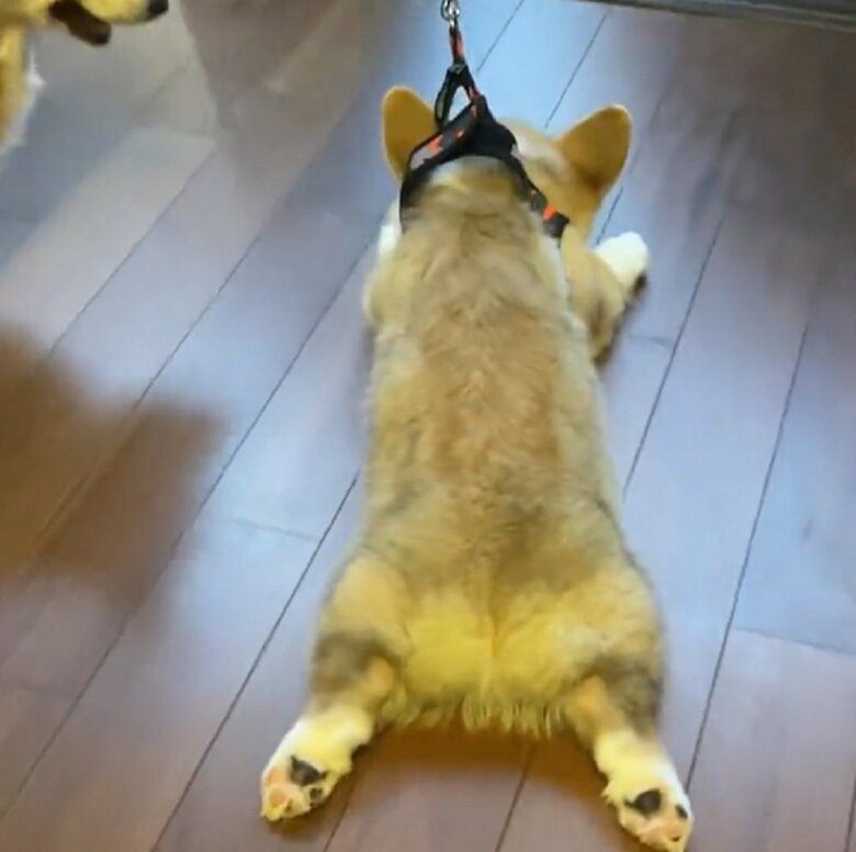 手足を動かさずやる気が感じられない