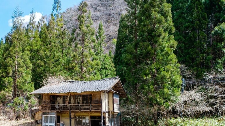 山林は相続はしたが手放せないケースも（画像はイメージ）