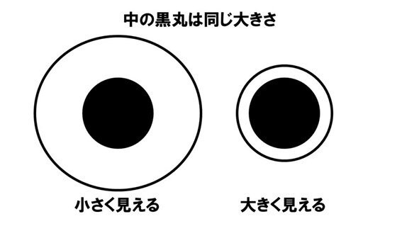 “デルブーフ錯視”の一例（画像提供：坂田頼彦さん）