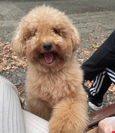 提供：ピン太郎ママさん