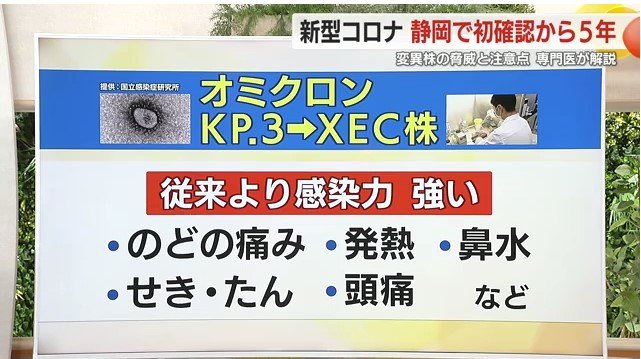 XEC株の特徴