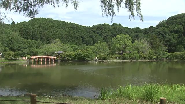 国宝・白水阿弥陀堂の庭園（2024年7月2日撮影）