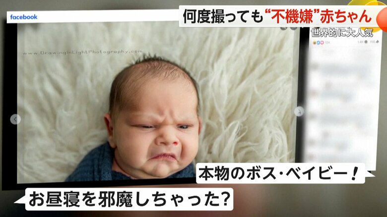 アメリカのオハイオ州にある写真館で撮影された生後1週間の赤ちゃん