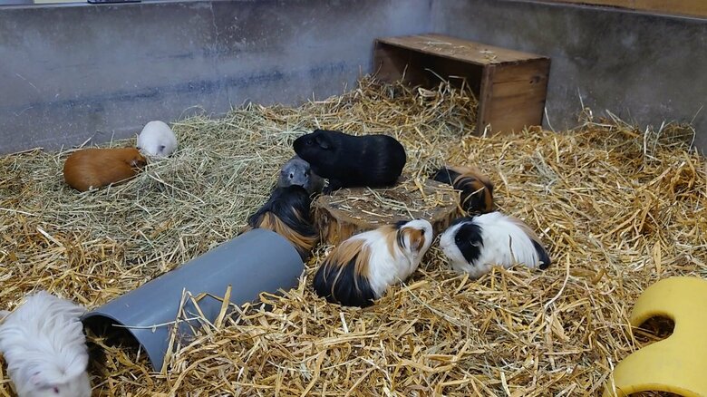 何かの召喚儀式のよう（提供：おびひろ動物園）