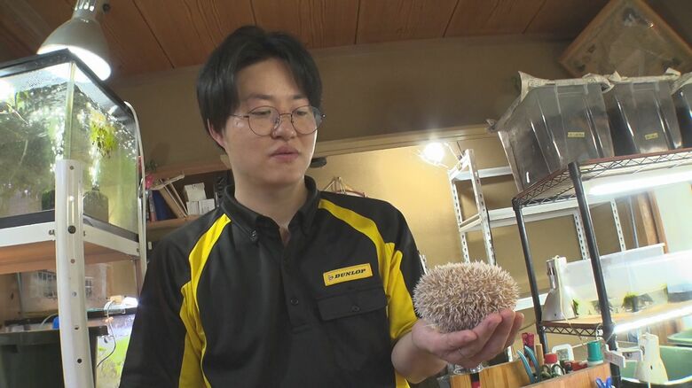 ハリネズミも!
