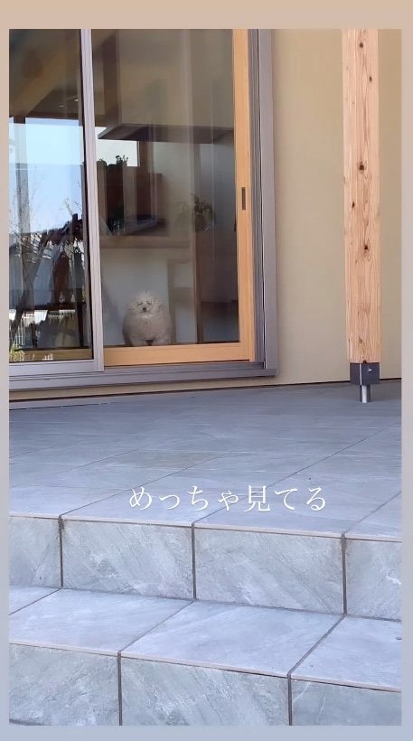 提供：＠tsuru_323さん