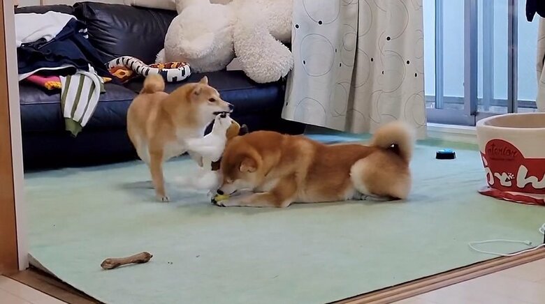 ポン！