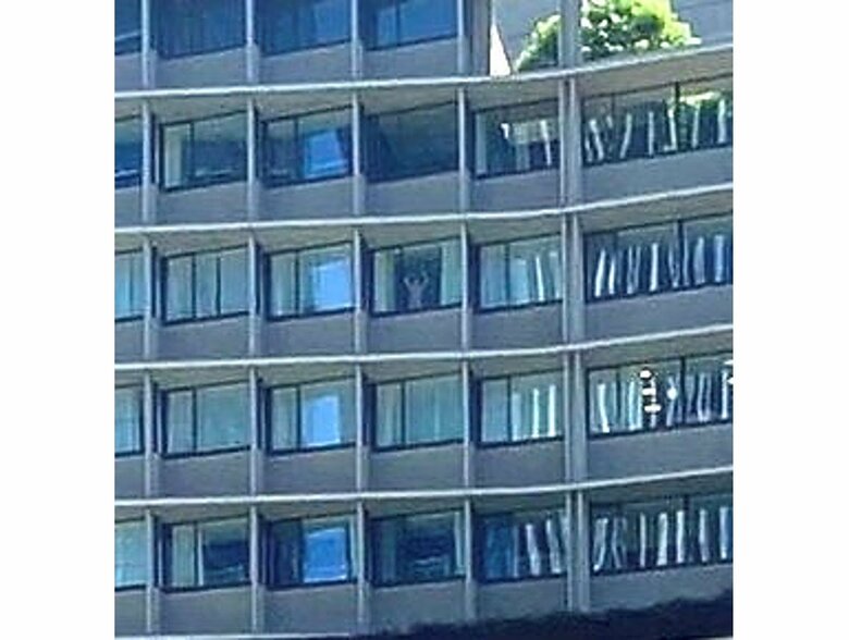 提供：ぴかさん