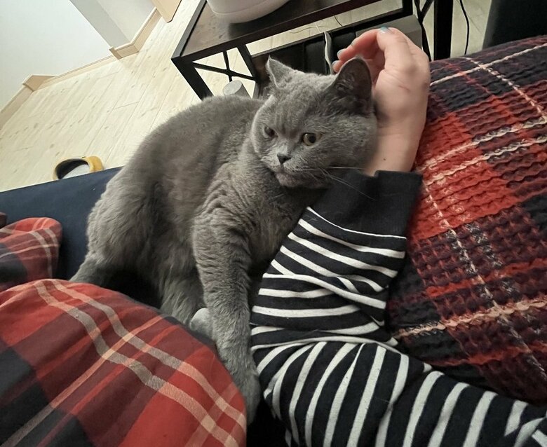 くっついて少しドヤ顔