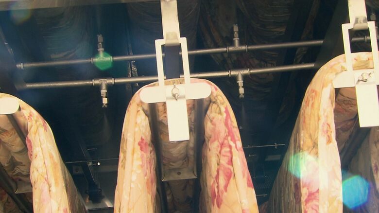 抗菌剤の噴射作業