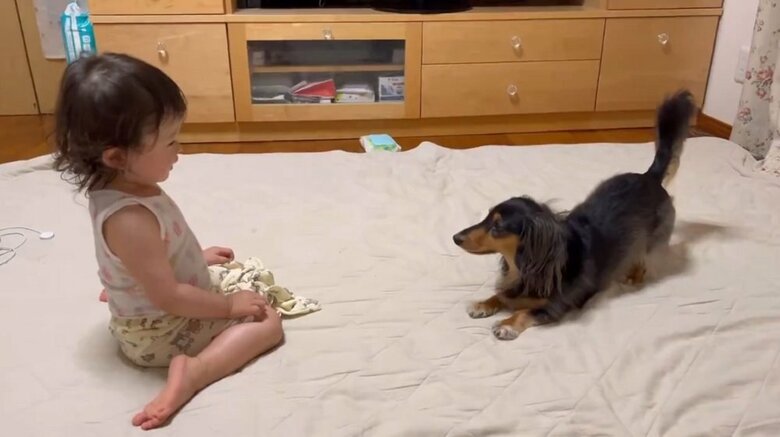 仲良く遊んでいる様子