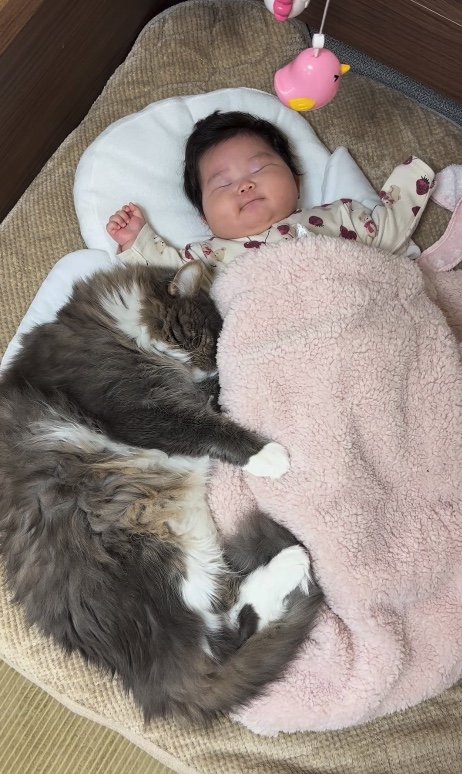 提供：エルモとみみりんさん