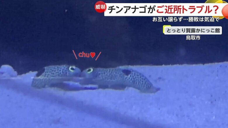 キスしてしまった瞬間