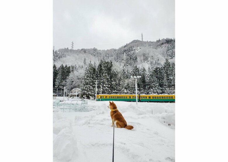 散歩途中の休憩（提供：あおとはなさん）