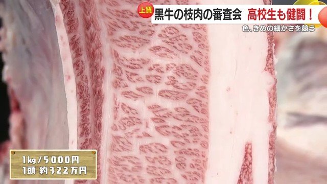 1頭約322万円のグランドチャンピオンとなった黒牛②