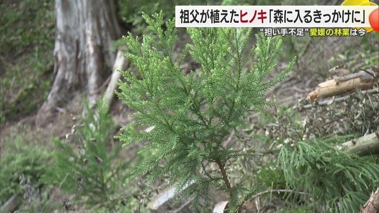 若き技能実習生たちの挑戦と新たな取り組み