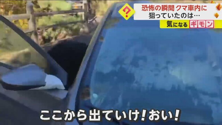 「ここから出ていけ！」と言われ車外に飛び出すクマ