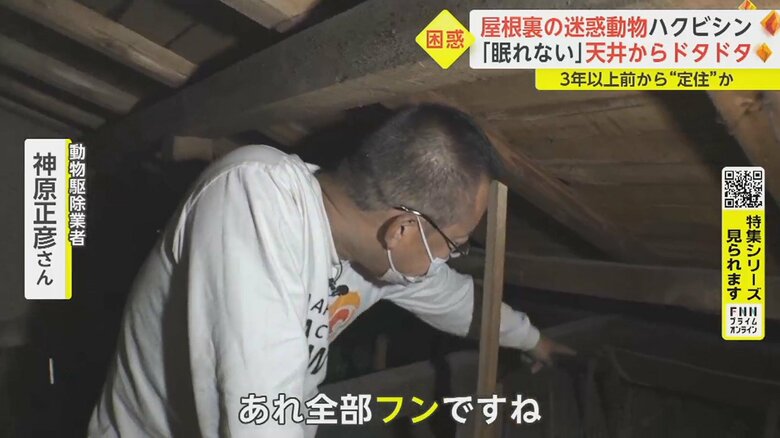 音がしていた天井裏に登ると