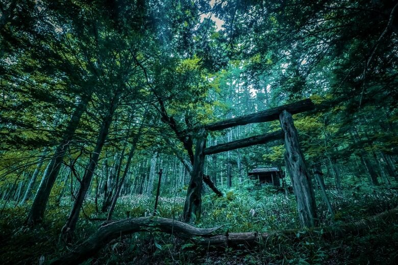 金華神社（北海道／2021年7月撮影）