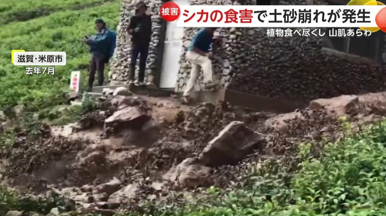 山肌がむき出しになり、水が流れやすくなったことで発生した土砂崩れ