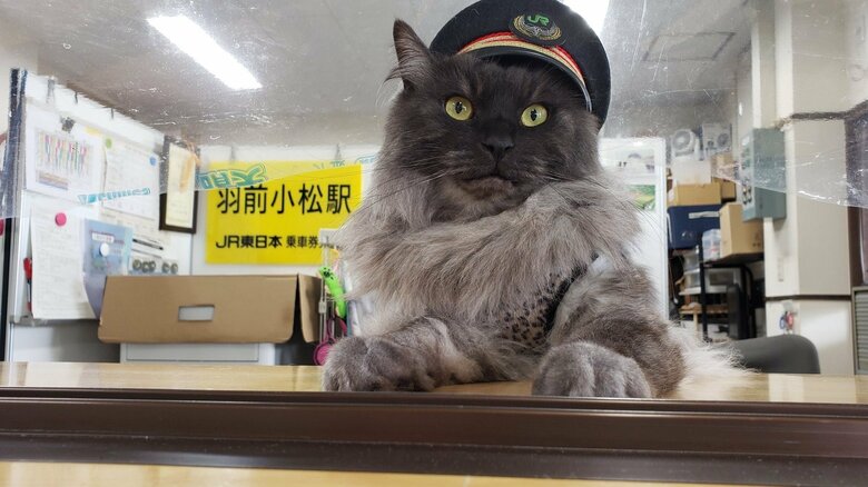 窓口で見守る様子