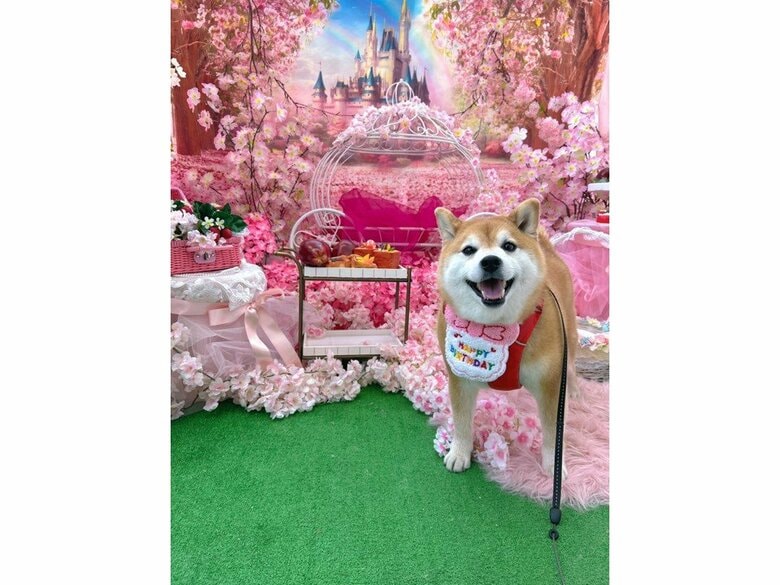 提供：赤柴いちさん