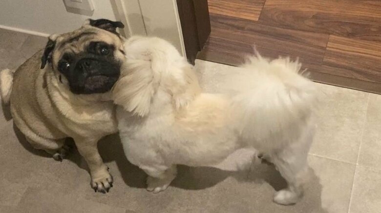 なんだかんだいっても仲良し