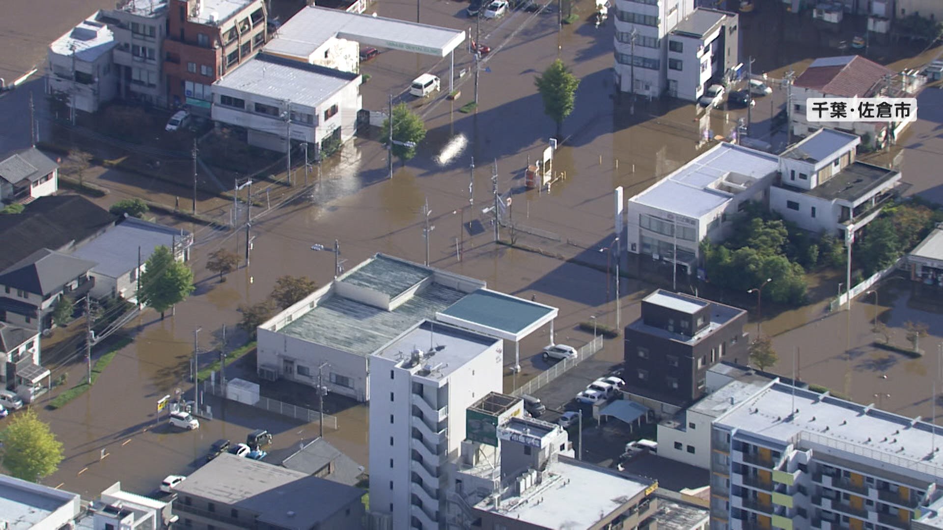 一夜明け空から見た爪痕　台風25号　千葉県と神奈川県であわせて7人死亡、5人不明