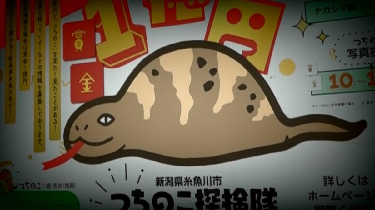 幻のツチノコを捕獲せよ!! 全国各地で目撃多発!ツチノコは必ずいる!! 幻のツチノコを捕獲せよ!!: 全国各地で目撃多発! ツチノコは必ず