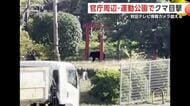 秋田市の官公庁周辺や運動公園にクマ出没　情報カメラなどが捉える　半径4キロ圏内で今週40件以上の目撃