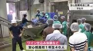 高校生がワインの仕込み体験　ブドウの皮や種を取り除き果汁をかき混ぜる　大分・安心院葡萄酒工房