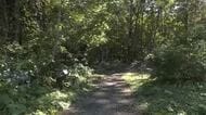 北秋田市森吉山、登山中の67歳男性がクマに襲われけが　秋の山でのレジャーにはしっかりした対策を　秋田