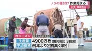 品質良く高値で取引される石巻産のノリ　今シーズンの種付け作業が開始　１１月上旬から収穫へ〈宮城〉